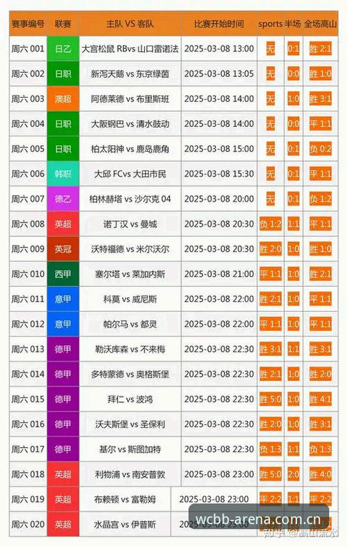 世界杯体育平台深度分析：从博彩生态到用户价值全面解析